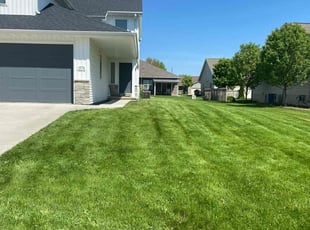 Holly L.'s lawn care service result