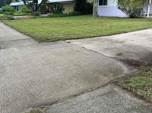 Supriya S.'s turf care service result