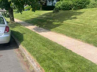 Joseph R.'s lawn maintenance service result