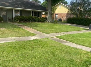 Khalid B.'s lawn service service result