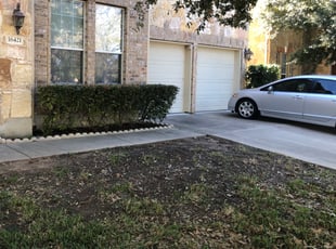 Ryan L.'s Bush Trimming service result