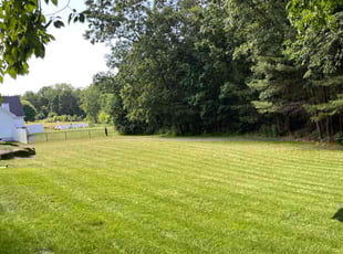 MIKE C.'s turf care service result