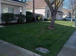 Michael D.'s lawn service service result