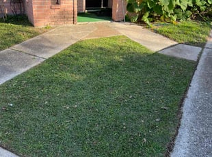 Keith W.'s lawn care service result
