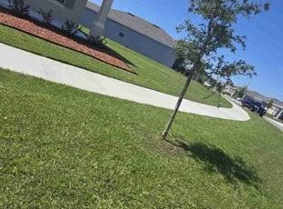 Randi S.'s turf maintenance service result