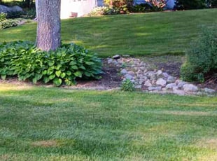 Valencia H.'s lawn maintenance service result