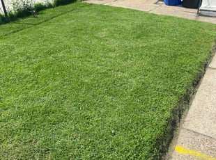 Kevin H.'s residential landscaping service result