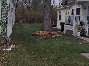 Maurice J.'s Leaf Removal service result