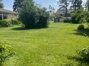 Sylwia G.'s turf care service result