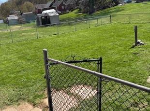 Tracy S.'s grass maintenance service result