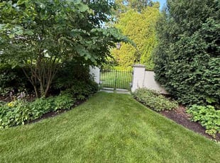 Sean M.'s grass cutting service result