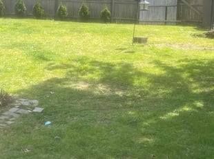 Irene S.'s Leaf Removal service result