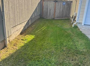 Dan R.'s grass maintenance service result