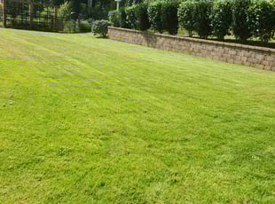 Pete K.'s lawn care service result