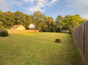 Helene B.'s turf care service result