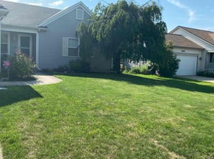 Jaelynne N.'s turf care service result
