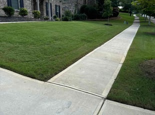 Mikaela J.'s lawn care service result