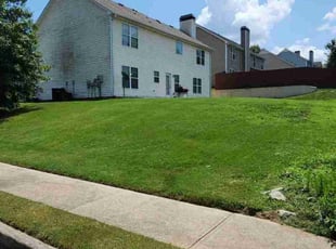 Damion B.'s lawn service service result