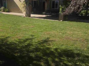 Mary M.'s lawn care service result