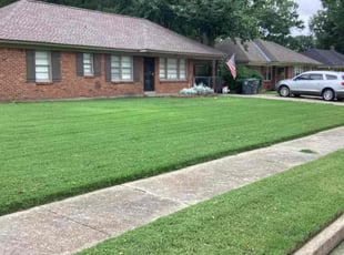 Mohammad B.'s turf care service result