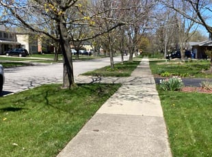 Alma k.'s turf care service result