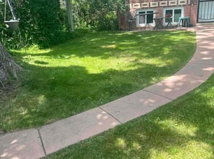Jenn J.'s grass cutting service result