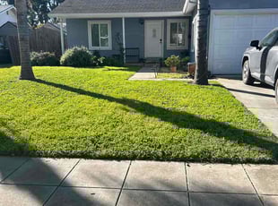 Johnny D.'s lawn care services service result