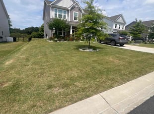 DELIO c.'s grass cutting service result