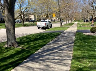 Pamela M.'s turf maintenance service result