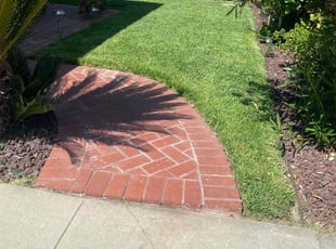 Vincent C.'s turf maintenance service result