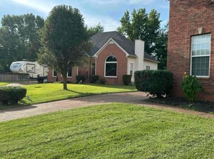 Eileen C.'s Bush Trimming service result