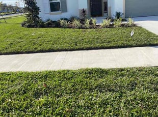 Brandon C.'s Bush Trimming service result