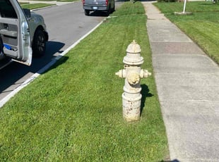 Matt B.'s turf care service result