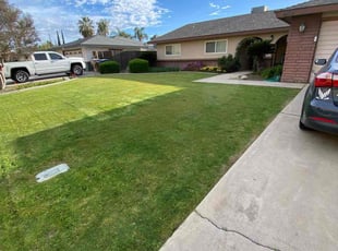 Jamillah O.'s lawn maintenance service result