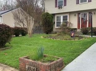 Daniel F.'s lawn care service result