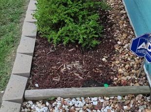 Valerie M.'s Flower Bed Weeding service result
