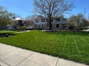 Zikirat O.'s turf care service result