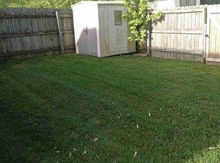 David A.'s lawn service service result