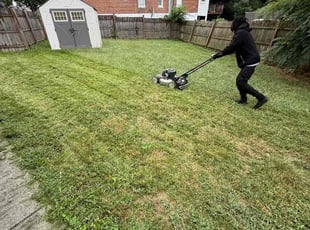 Michael G.'s lawn maintenance service result