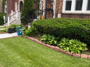 Devyn G.'s lawn care service result