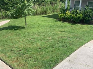 Carlton S.'s lawn care service result