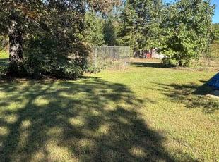 Walter H.'s turf care service result