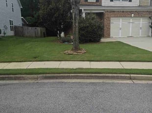 Morgan Q.'s grass maintenance service result