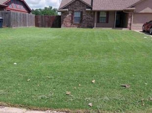 Mary G.'s turf maintenance service result
