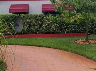 Kevin M.'s Bush Trimming service result