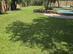 Diana M.'s turf maintenance service result