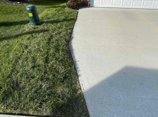 Jaszmin L.'s lawn care service result