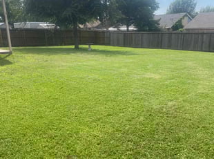 Steven C.'s lawn maintenance service result