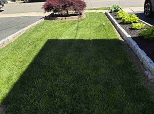 Lisa J.'s grass maintenance service result