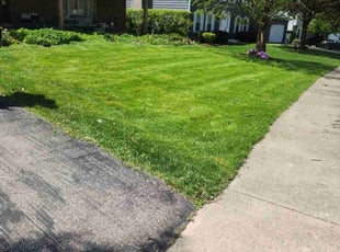 Steven F.'s grass cutting service result